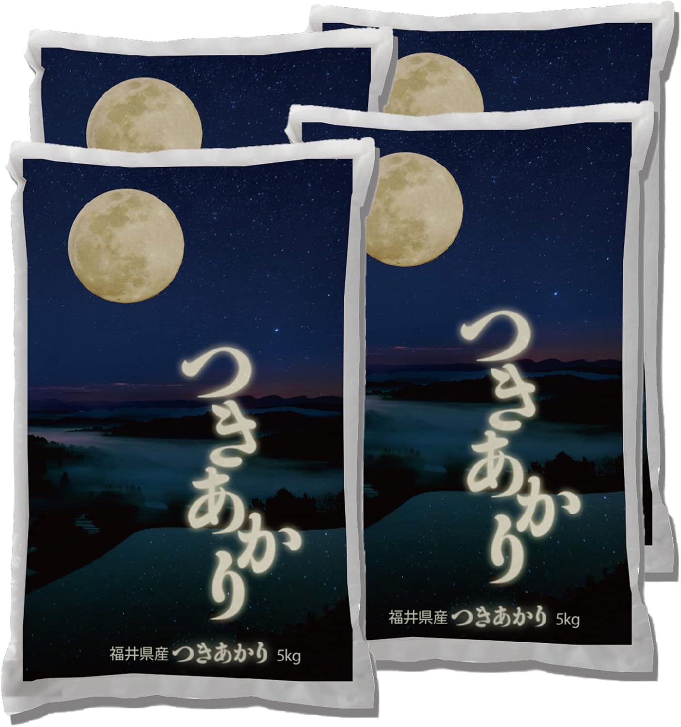 93年旧ロゴHAWAIIAN AIRハワイアン航空オリジナルカレンダー