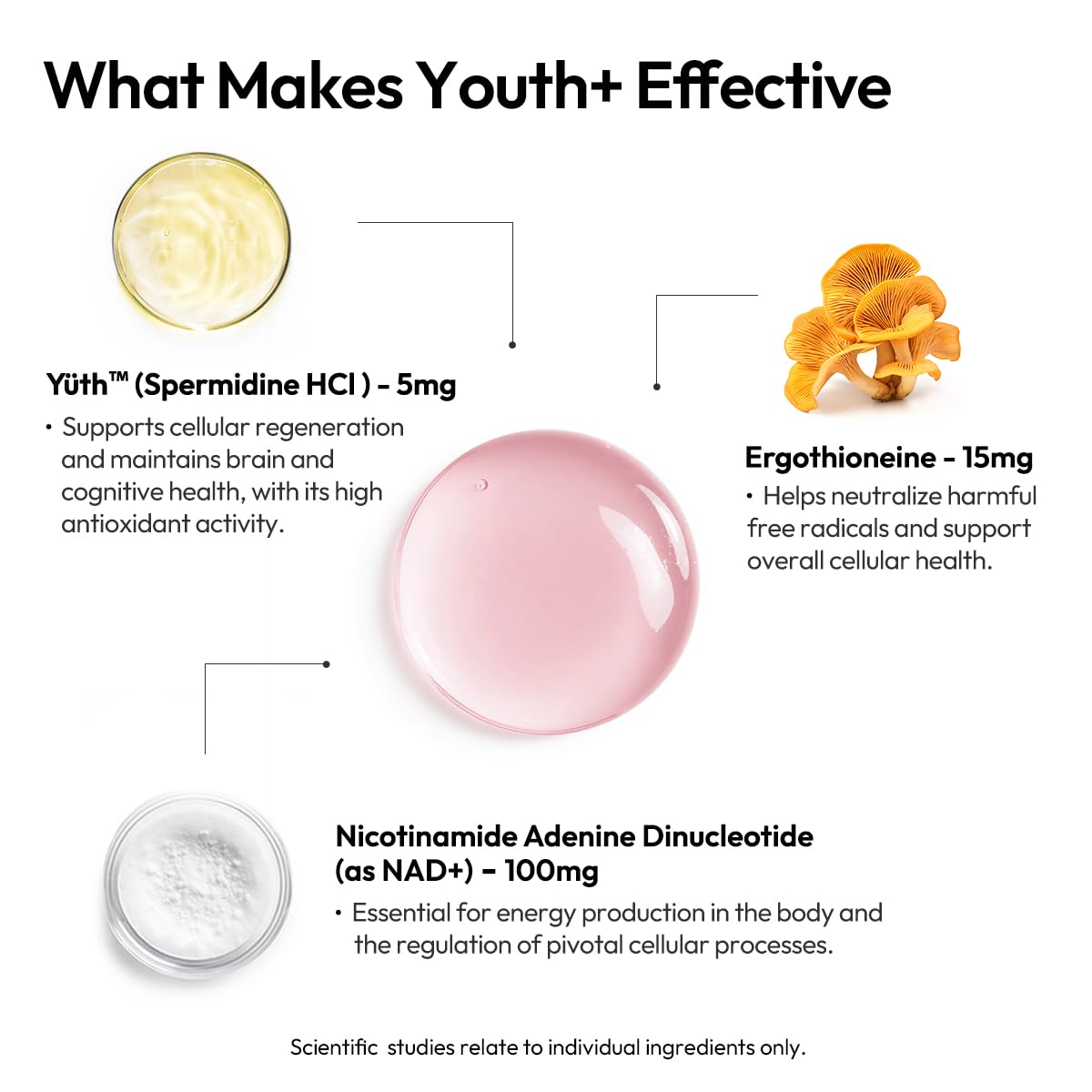 BIGVITA Youth+ | NAD+, Spermidine, and Ergothioneine Shots for Healthy Aging, Energy, Skin & Hair Health, Cognitive Support | Ready-to-Drink Supplement | Beauty from Within | Vegan, Made in USA — Amazon image 5
