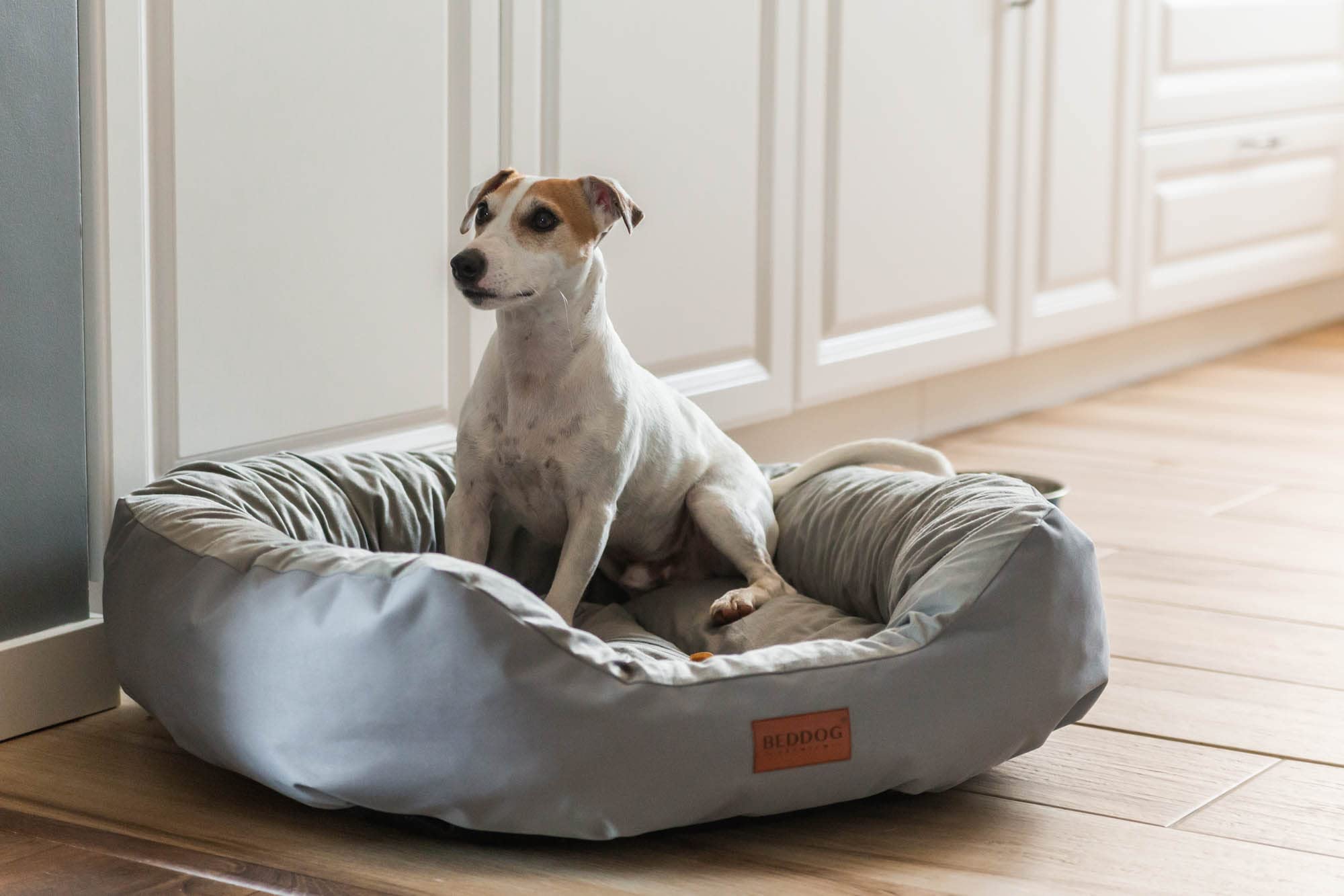 BedDog Cama Perro XL - Cama para Perros - Camas Perros Mediano - Colchoneta Perro - Colchon Perro Grande en Tejido Alicante
