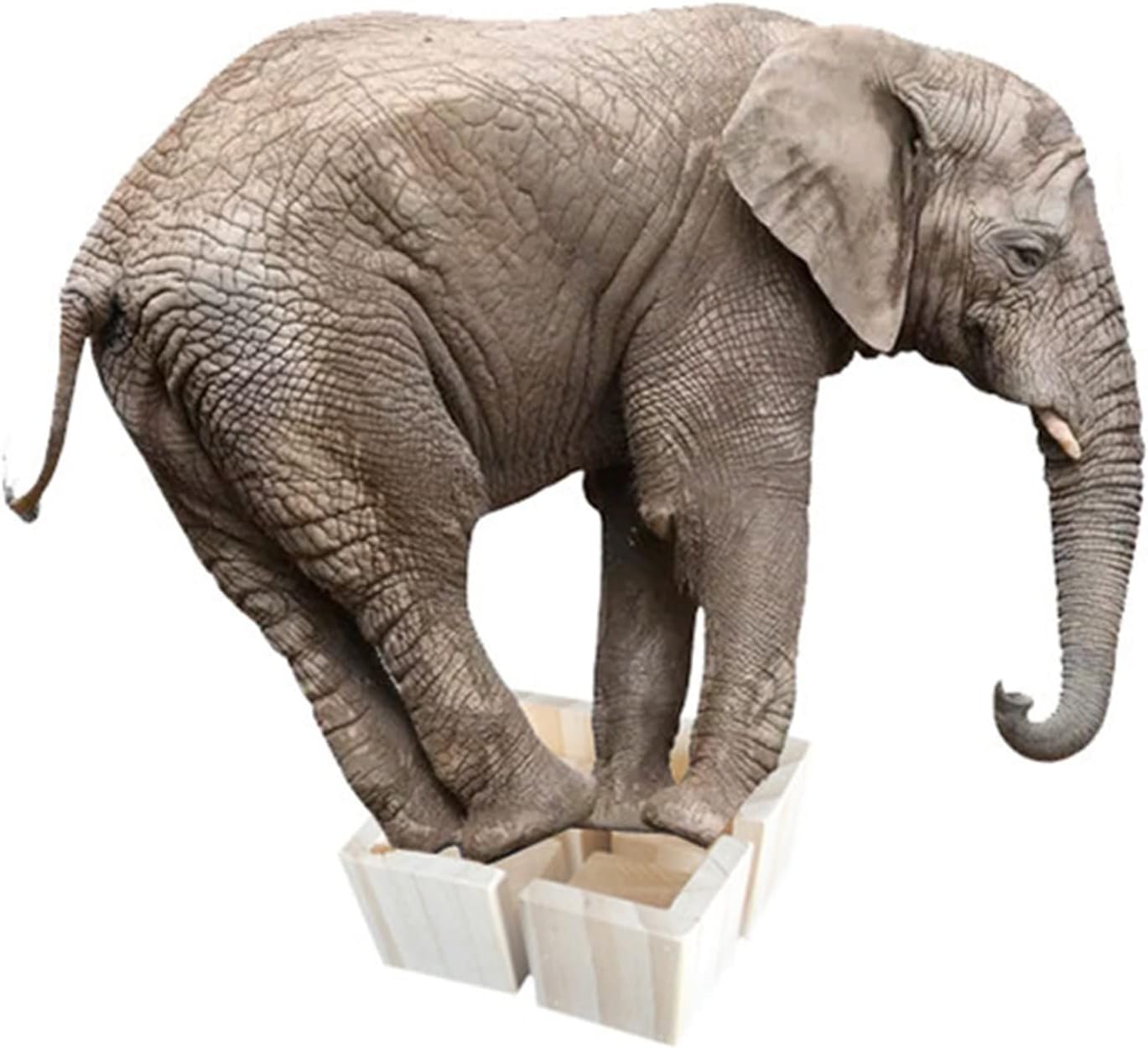 Set of 4 Furniture Legs Wooden Bed Supports,Furniture Supports 3cm Sturdy Base,Furniture Riser,Table Legs Riser Solid Wood Block(Color:A,Size:12 * 12cm/4.8 * 4.8in)