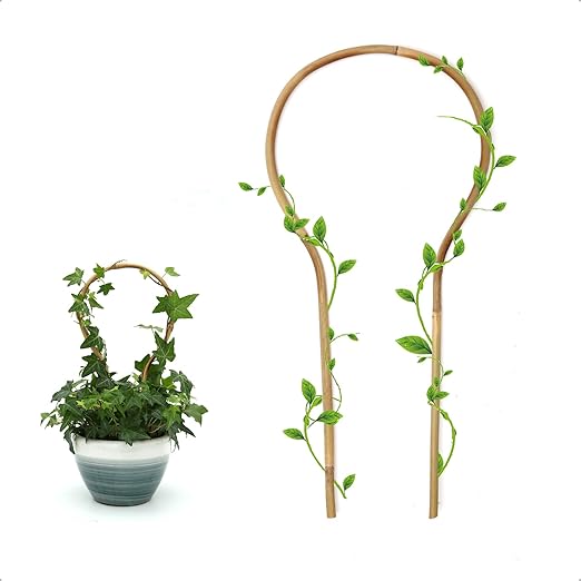 3Pack Bamboo Trellis 16 Inch Round Shaped Small Plant Trellis for Indoor Potted Plants Climbing Monstera Orchid Vine Hoya Houseplant