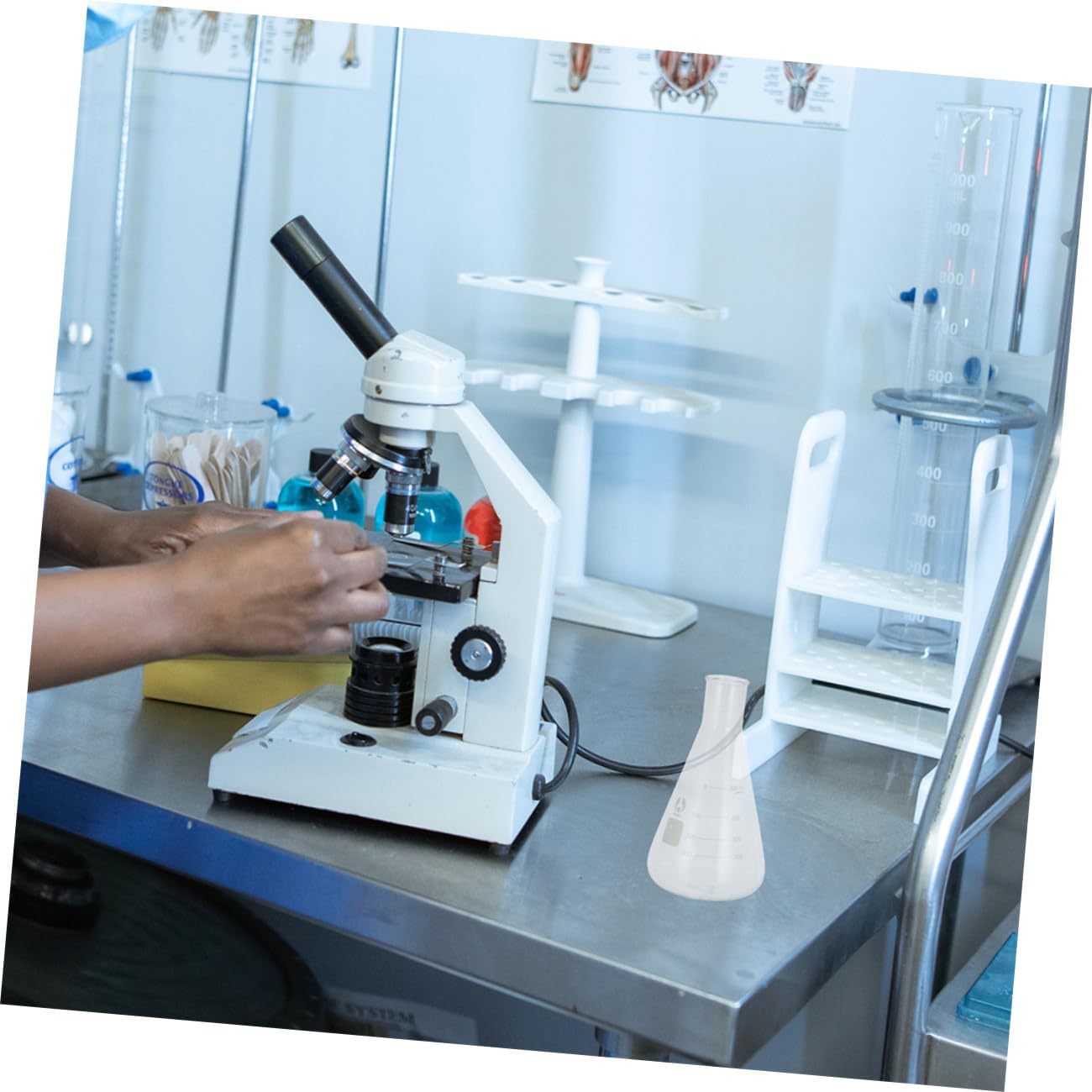 Conjunto de 4 Matraces Cónicos de Vidrio de Borosilicato para Experimentos en Clase de Química Medición Precisa y Diseño Práctico para Estudiantes