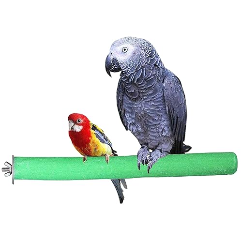 Bird Perch Rough-surfaced Nature Wood Stand Toy Branch for Parrots