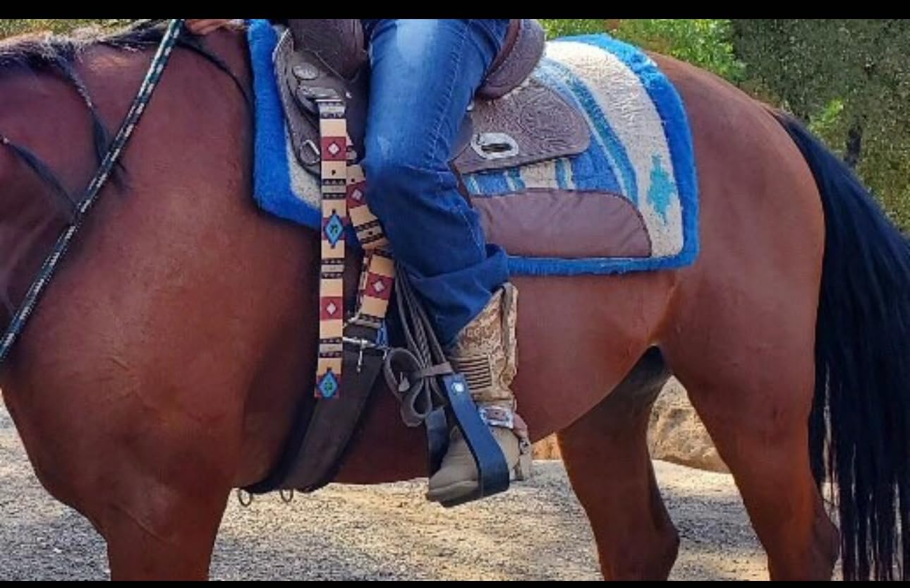 cinch strap set latigo tan tribal 2