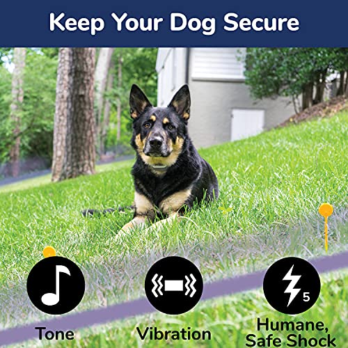Free Spirit In-Ground Fence Add-A-Dog Collar - Additional, Extra Or Replacement Shock Collar With Tone/Vibrate And Shock #TOP2