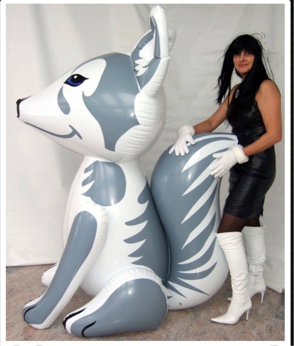 空ビ ポニー フロート 浮き輪 空気ビニール