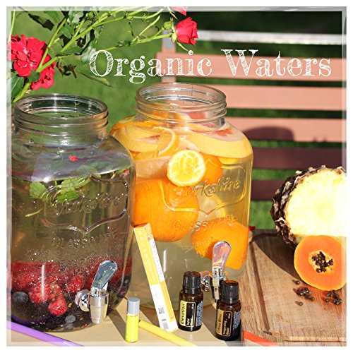 Vitastik Ultimate sapore sapore 10 pezzi | la