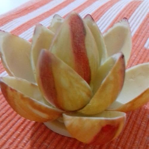 Miniatura 7 de Molde de chocolate molde de chocolate en forma de oliva molde de chocolate 3D molde de caramelo