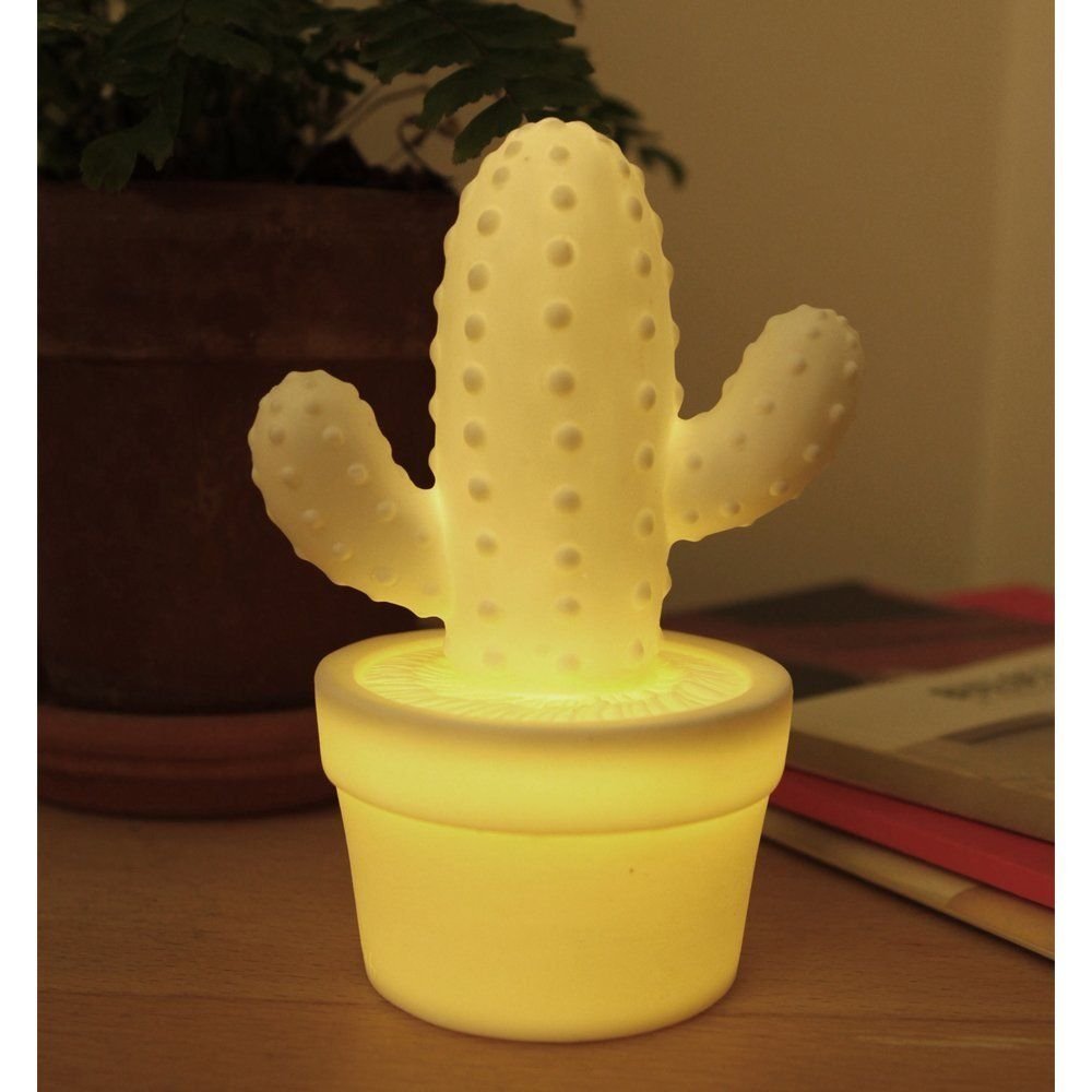 : CACTUS LED LIGHT カクタスLEDライト : ホーム