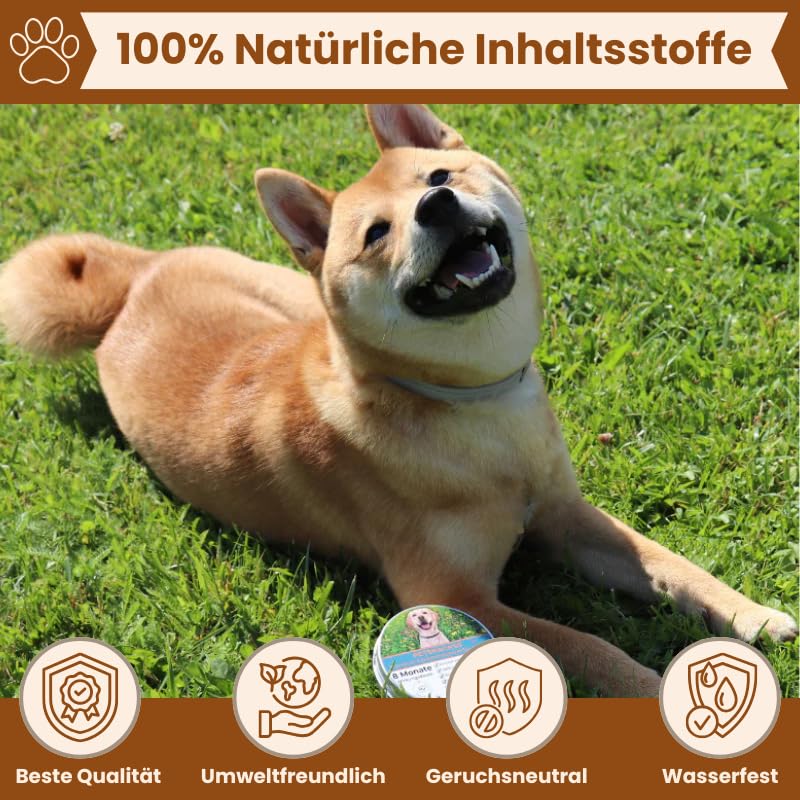 Zeckenhalsband für Hunde - 100% Natürliche Inhaltsstoffe - bis zu 8 Monate wirksamer Schutz gegen Zecken, Flöhe und Läuse - Universell passend (1er Pack)