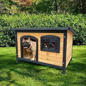 Caseta de Madera Eco-Responsable para Perros Toby – Negro-Refugio de Madera para Perros, Ideal para el Exterior, jardín y Patio con Ventanas y Techo Amovible
