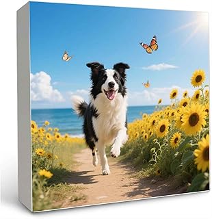 Wooden Box Sign Dog Benefits for Funny Bathroom Sign (5x5 Inches)