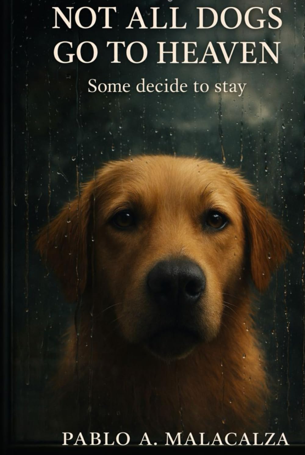 NOT ALL DOGS GO TO HEAVEN: Some decide to stay