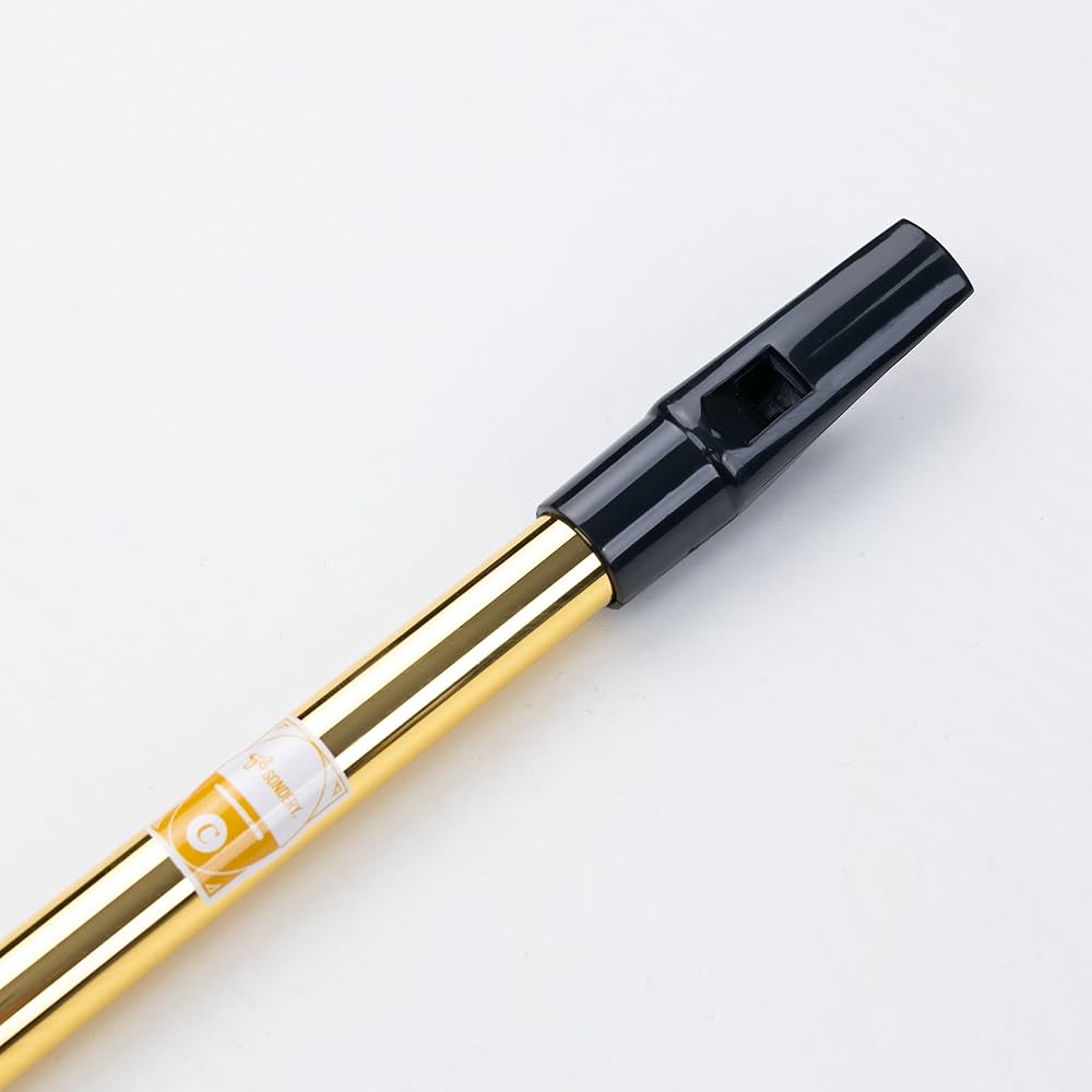 Amazon.co.jp: Sondery ティンホイッスル ブラス C管 きんいろ