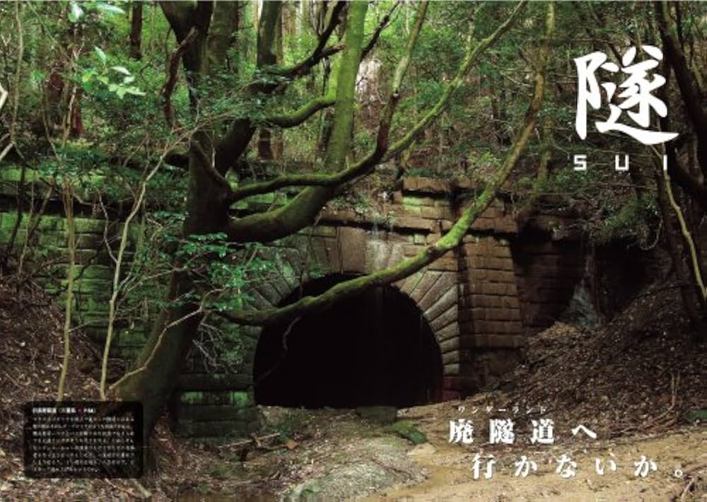 山々本出品 Amazon.co.jp: 心象の山々 : 山の版画と断章【電子書籍版