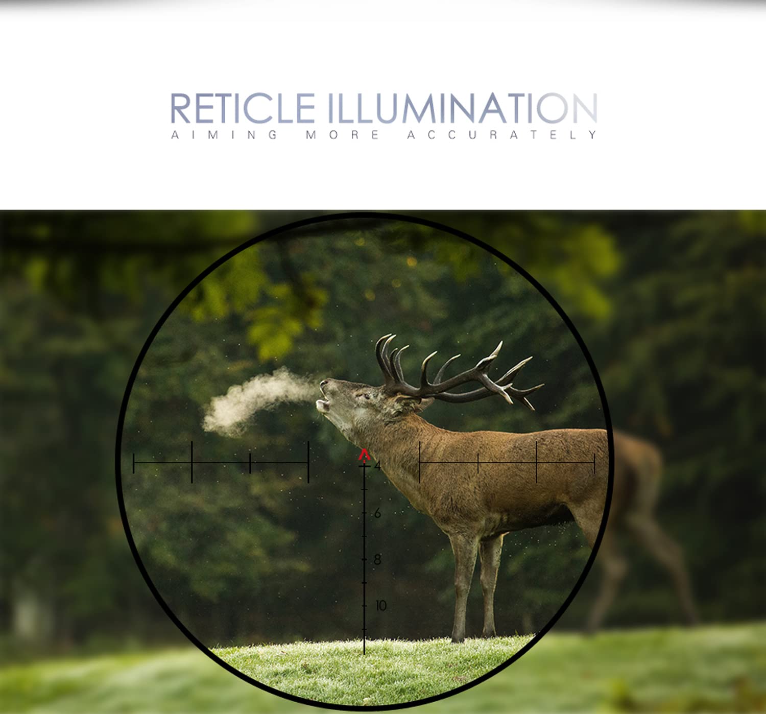 Paike Lunette de visée 4x32mm ACOG Red Dot Sight avec réticule Chevron Rouge