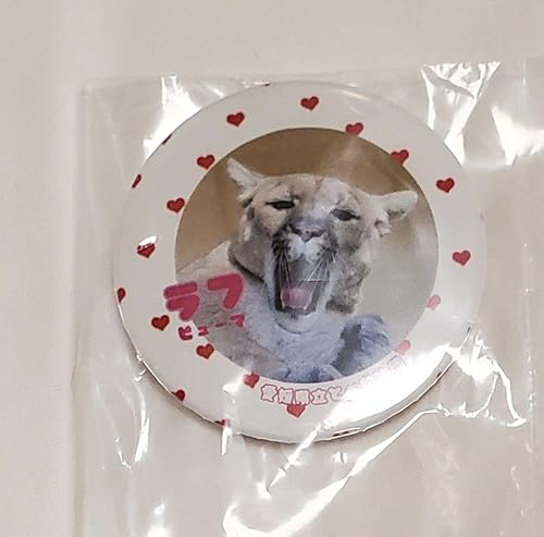 Ƃד K` lRȓʃob` Ԍ s[} t