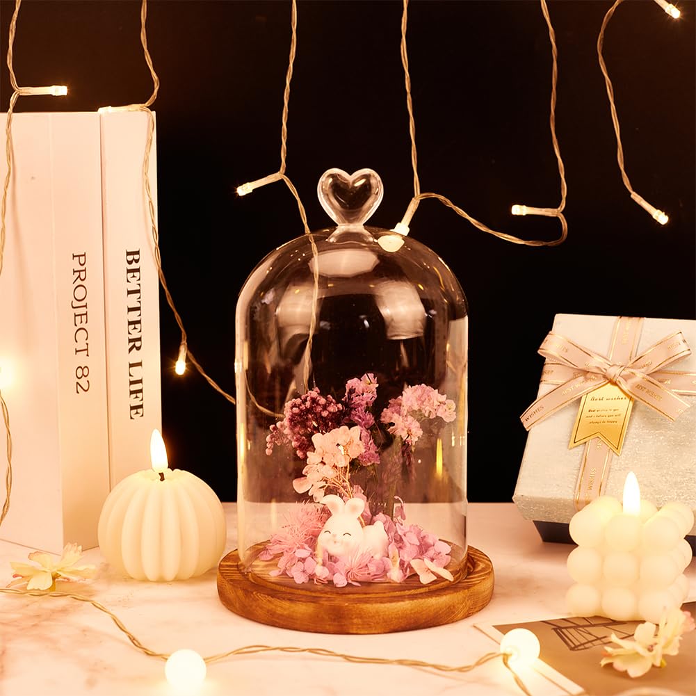 NBEADS Cúpula de Cristal En Forma de Corazón, Terrario de Tarro de Campana Cloche de 22cm de Largo con Base de Madera para Decoración de Escritorio de Velas Aromáticas, Claro