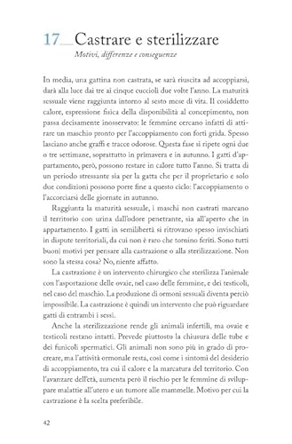 111 Cose Sui Gatti Che Devi Proprio Sapere - 6
