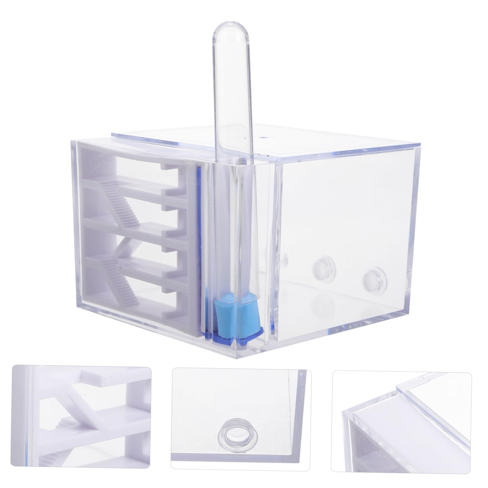 BESTonZON Fourmilière en Acrylique Observation Facile, Trousse Éducative pour Enfants, Jouet Scientifique