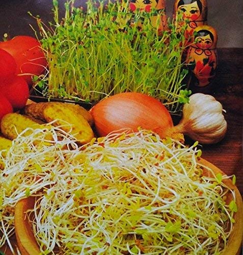 Russian Sprout Mix -