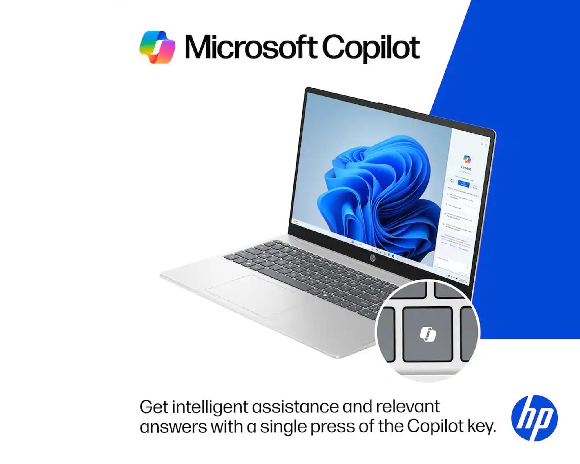 Amazon.com: HP 15.6