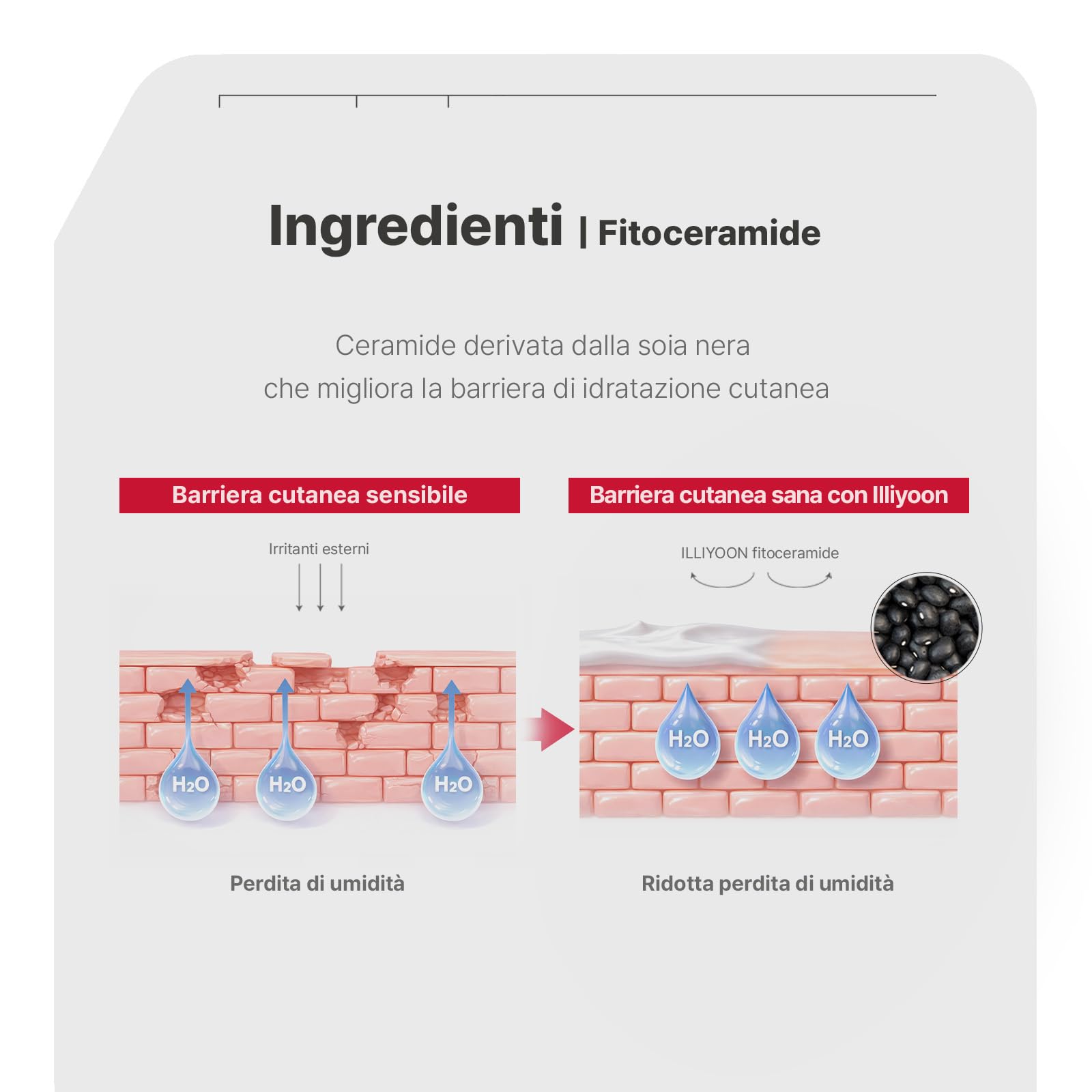 ILLIYOON Ceramide Ato Tonico Viso Lattiginoso (250ml/ 8.45 Fl. Oz.), Essenza Leggera, Idratazione Profonda 2-in-1 e Rinforzo Barriera, Pelle Secca Sensibile, Delicato e Senza Profumo, Skincare Coreana