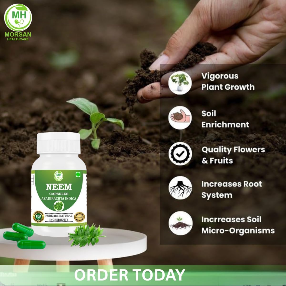 Morsan's Neem (Azadirachta Indica) Capsule, Pack of 4 x 60 x 500 mg. Veg. Capsules (4)