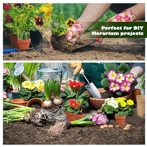 CONEHOY 160 Pcs Small Clay Pots with Drainage Hole 2 Inch Mini Terracotta Plant Pots Planters Bulk for Succulent Cactus Flower Wedding Nursery Indoor Outdoor Craft by CONEHOY - Used condition - Image 5