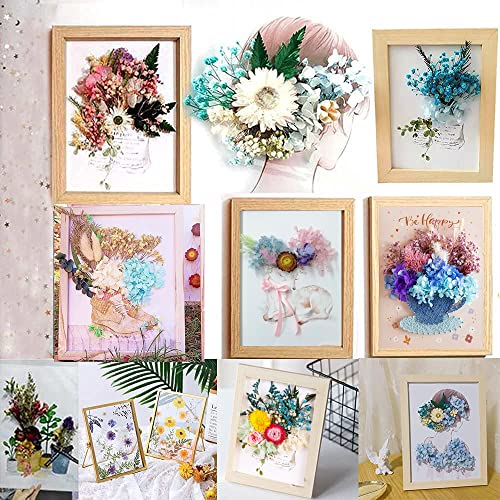 Yeemeen Fiori Secchi Pressati Naturali, 2 Scatole