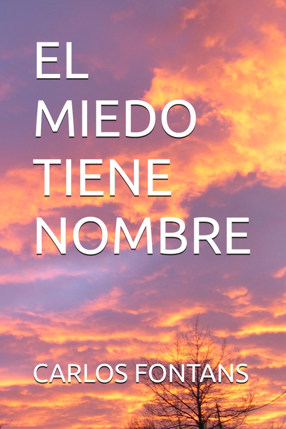 EL MIEDO TIENE NOMBRE (Serie Historias Reales - Libro 2de 7)