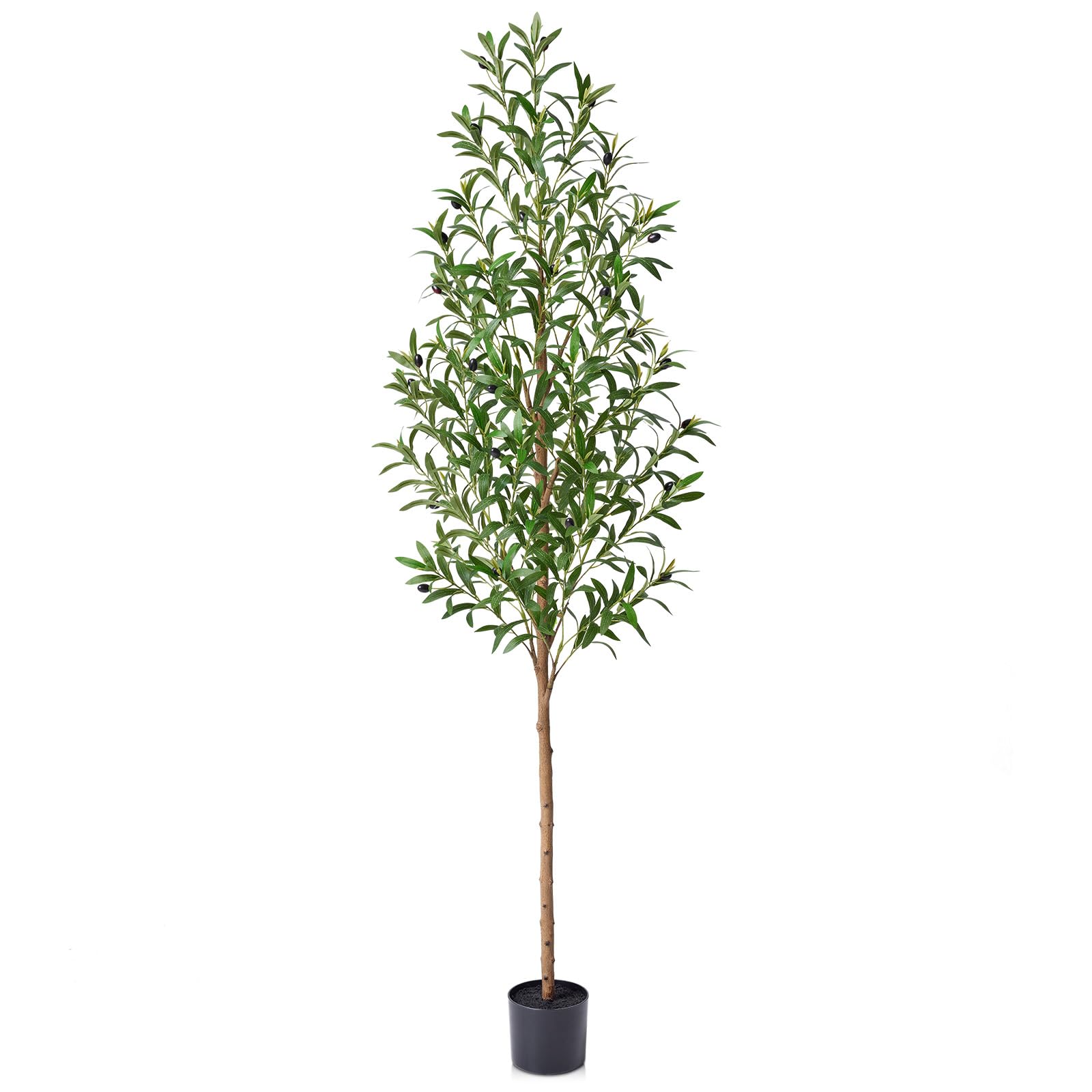 VeriNatural Olive Tree