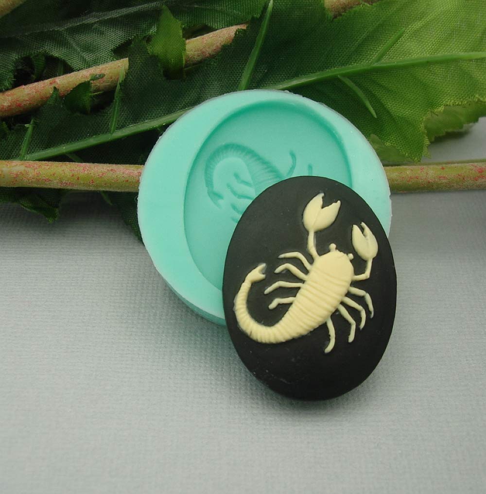 Findings Stop Brand Silicon Mold Zodiac Cameo Flexible for Crafts, Jewelry, Resin, Scrapbooking, Polymer Clay (Scorpio)