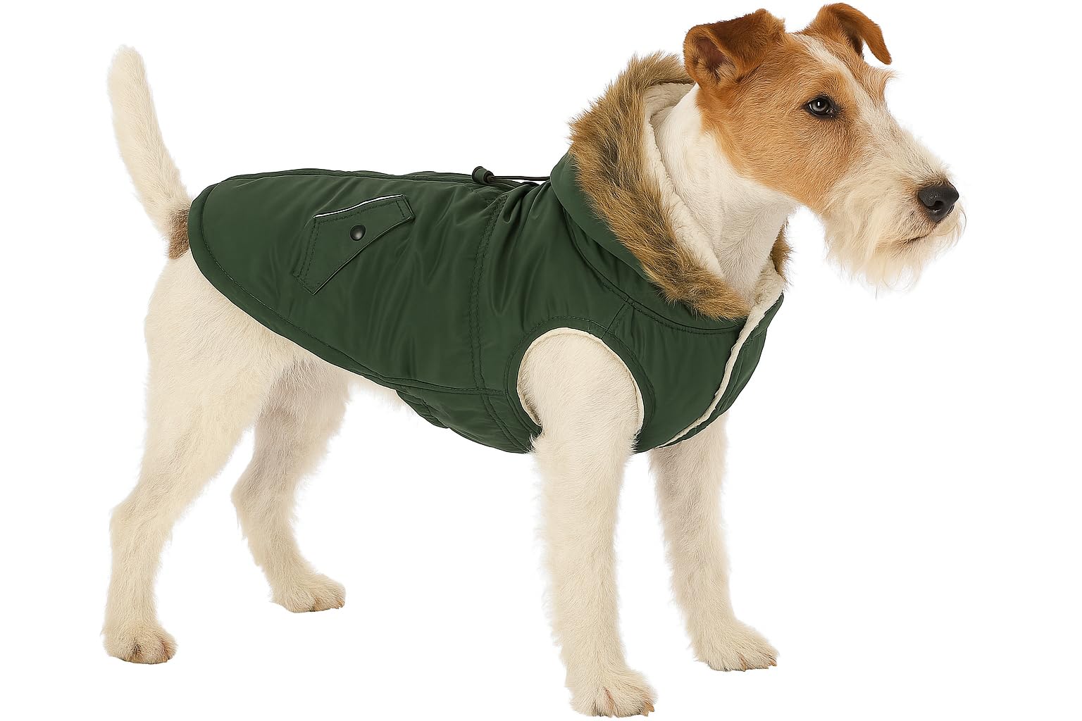 Flamingo WINTER COAT KIMO GREEN 40CM