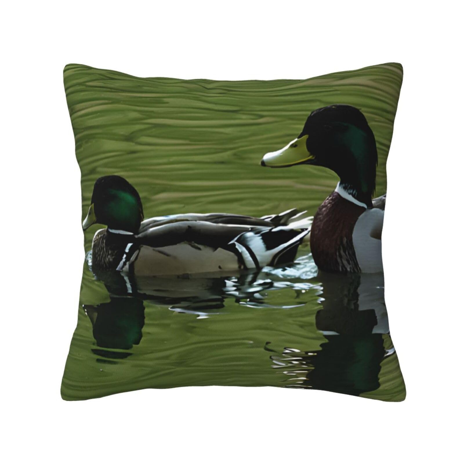 LHFIOHIRG (Loon Nature Bird) Decorative Throw Pillow Covers Double-Sided Printed Cushion Covers for Sofa, Couch, Bed, and Home Decor 30 x 30cm