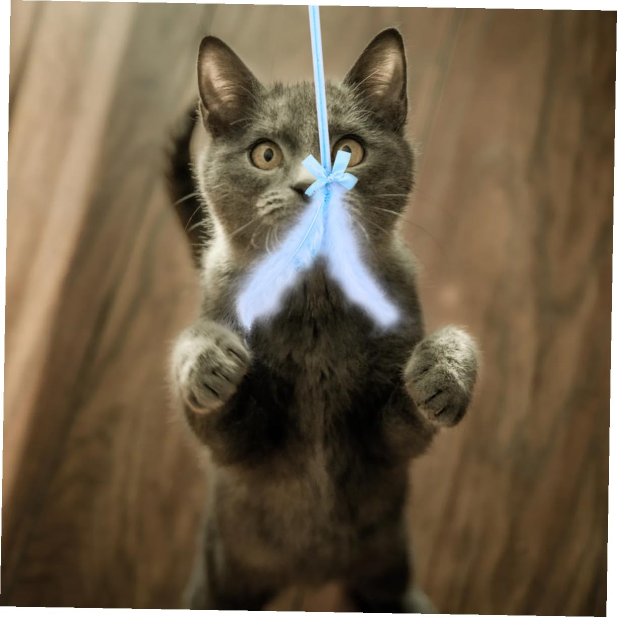 BESPORTBLE 9pezzi Giocattolo Interattivo Per Gatti Di Pendenti Colorati Con Piume e Campanelli Giochi Teaser Per Gattini Accessori Per Divertimento e Esercizio Felino