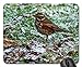 Produktbild REDWING ON FROSTY GRASS Mouse Pad, Mousepad (Birds Mouse Pad)
