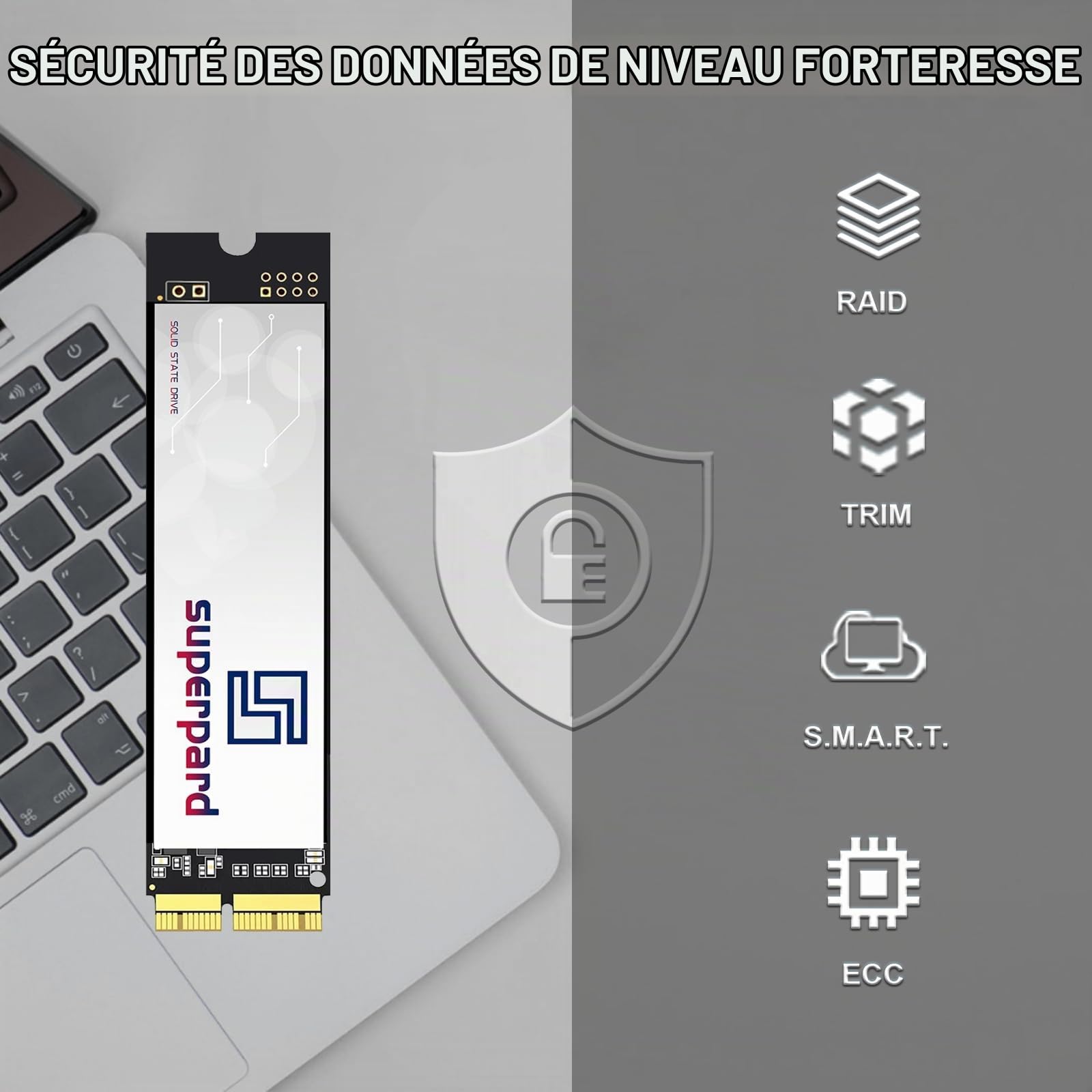 Disque Dur SSD 256Go pour MacBook Air A1465/A1466 (2013-2017), MacBook Pro A1502/A1398 (2013-2015), iMac A1418/A1419 (2013-2017), Mac Mini (2014), Mac Pro (2013) (macOS Préinstallé)