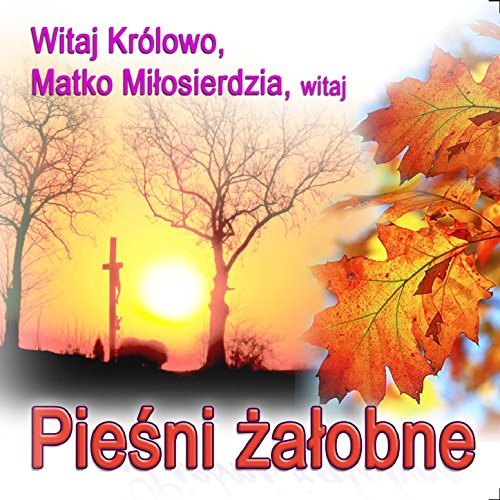 Play Piesni Zalobne - Witaj Królowo, Matko Milosierdzia, Witaj by