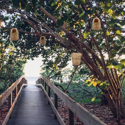 Image of Baluue Handwoven Bamboo Bird Nest 6 Pack with Hooks 4.72X3.93X2.75In Natural Rustic Bird Shelter for Indoor Outdoor Hanging Winter Roosting House