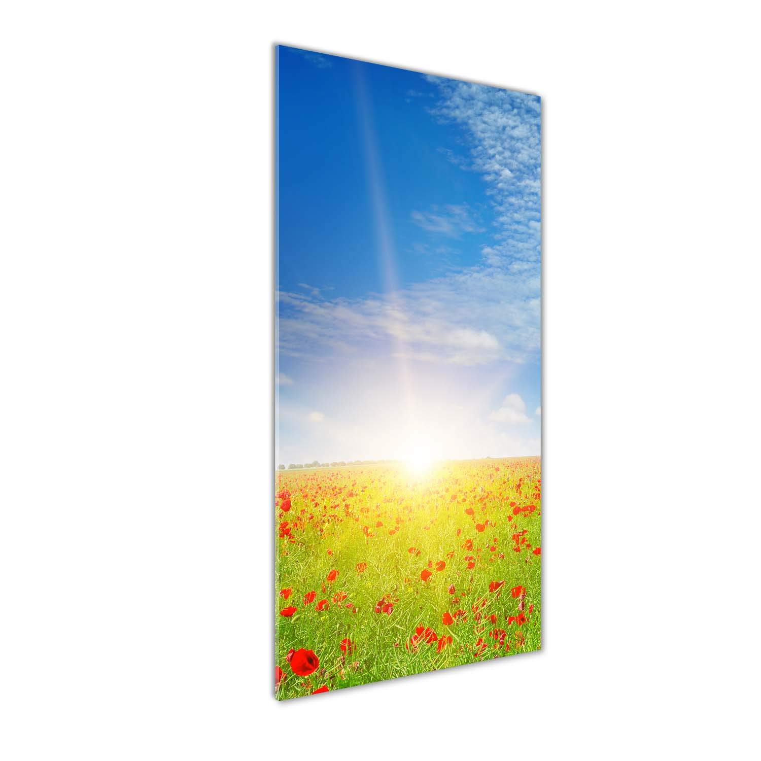 Champ de Coquelicots sur Verre Acrylique 50x125 - Tableau Lumineux pour Salon et Déco Murale