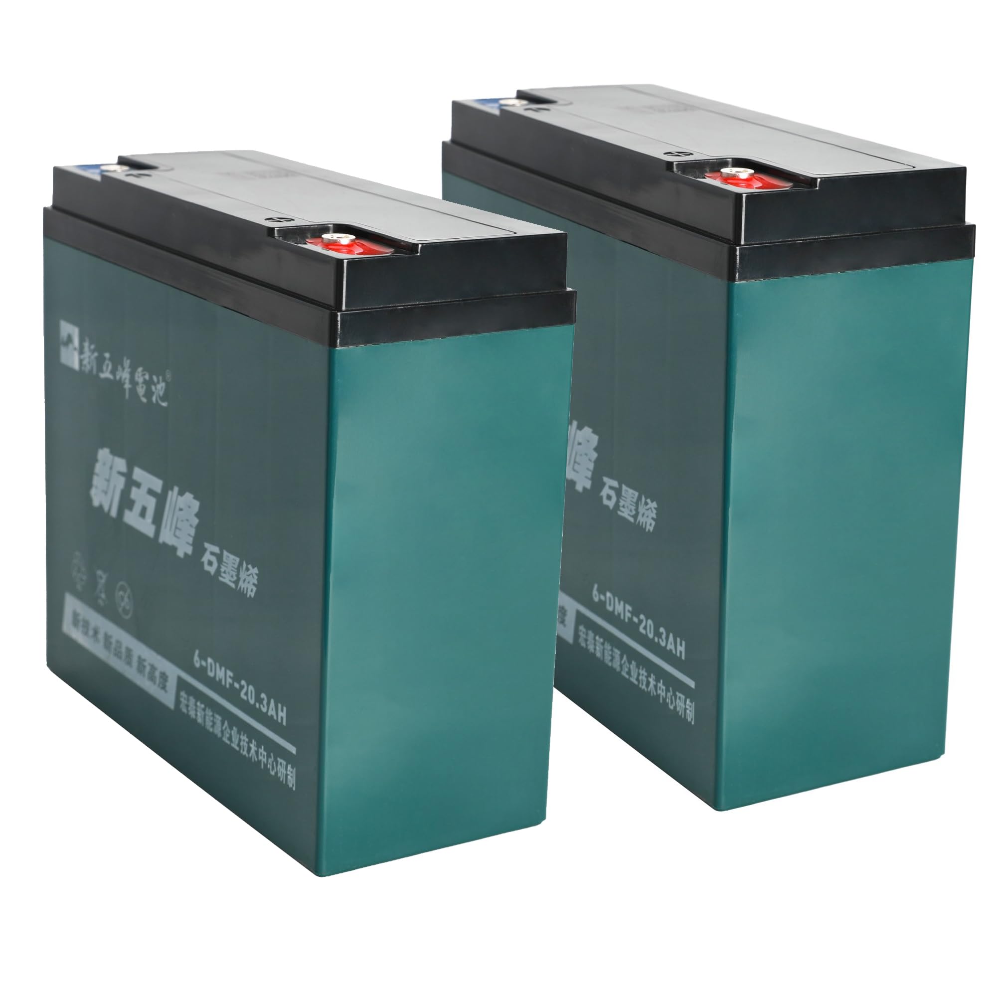 Amazon.com: YC Yier, Set of 2, 6-DZF-20 6-DMF-20 6-DZM-20 12V 20AH