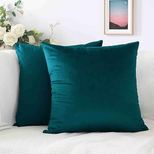 Juego de 2 fundas de almohada decorativas de terciopelo suave para sala de estar, dormitorio, sofá, decoración del hogar, juego de 2 fundas de