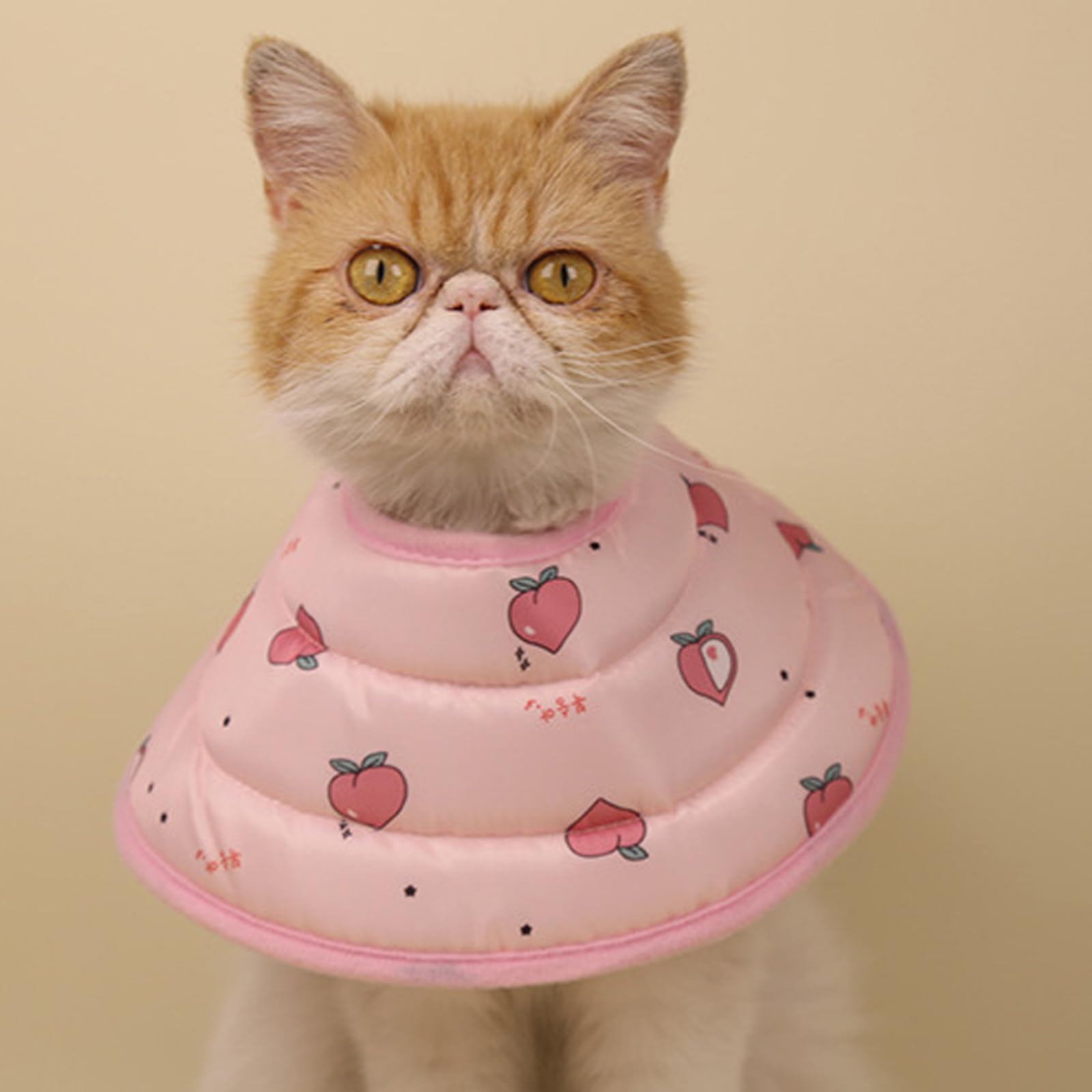 Cono Per Collo Di Gatto Comodo Collare Per Collo Di Recupero Per Animali Domestici Anti Leccare,C,S