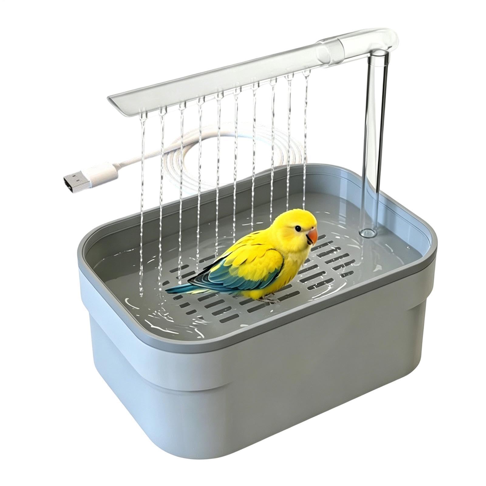Bain d'oiseaux automatique à brancher pour éviter l'eau stagnante dehors