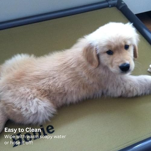 Miniatura 7 de Kuranda Cama para perros a prueba de masticación, PVC de nogal - 40 x 25 pulgadas - Vinilo resistente - Royal