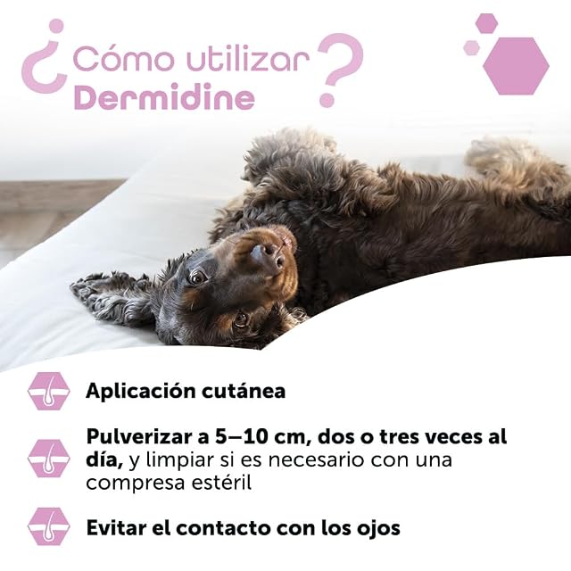 Foto 6 de 8 de MP Labo Dermidine - Spray para la Higiene Cutánea para Perro y Gato a Base de Caléndula y Centella Asiatica…