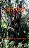 TRAGADOS POR LA SELVA: Casa de los Abuelos II (Spanish Edition)