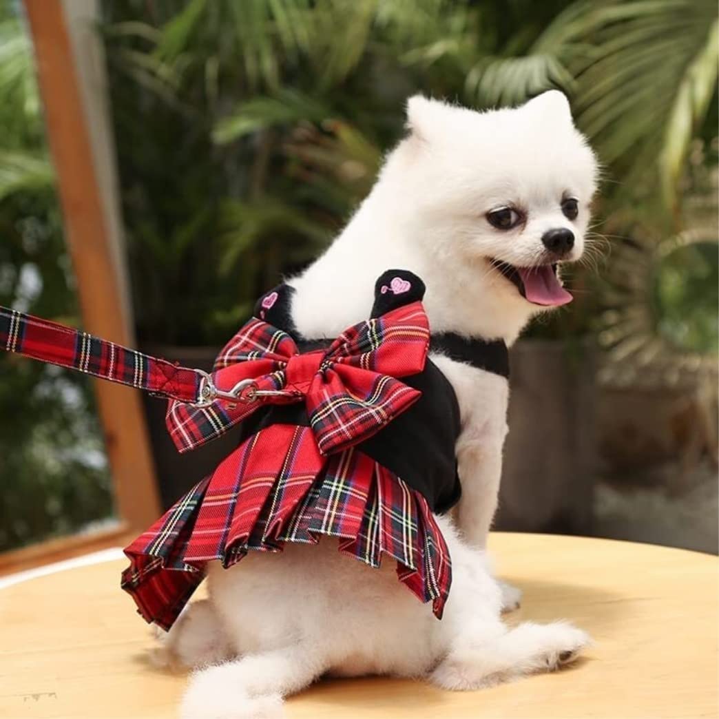 Correa Perro Correr Arnés para Mascotas, Chaleco, Vestido, Conjunto De Plomo con Tutú, Falda Encaje, Traje Cuello para Perro, Correa Ajustable Antideslizantes Reforzada(Rot,45cm)