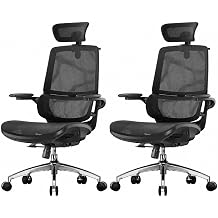 SIHOO M59AS Ergonomic Office Chair, Desk Chair with 3D Flip-up Armrests, Computer Chair with Dual Back Design and Adaptive Dynamic Lumbar Support, 2 Packs, Black
